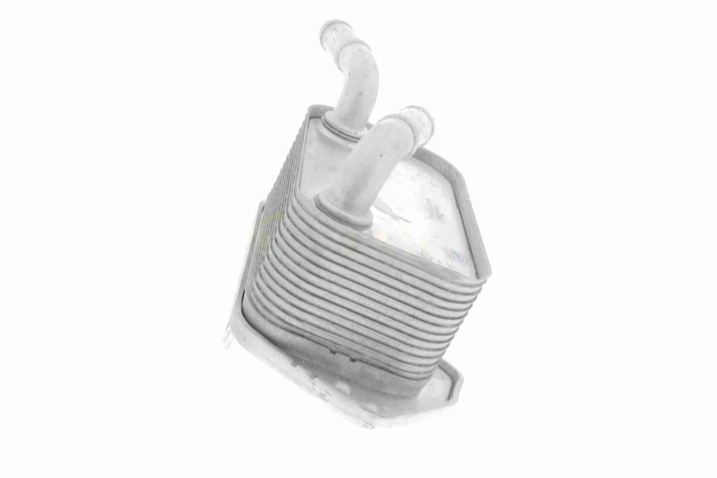 Radiateur d'huile moteur (Refroidisseur d'huile moteur) VEMO V15-60-6019