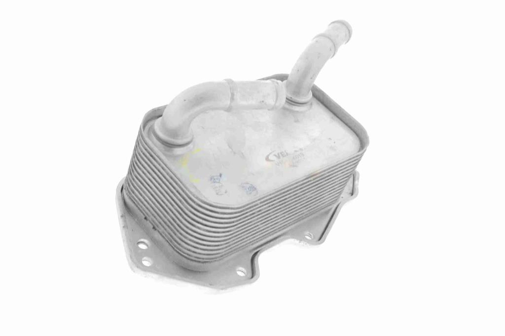 Radiateur d'huile moteur (Refroidisseur d'huile moteur) VEMO V15-60-6019
