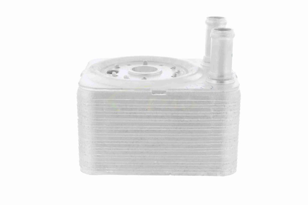Radiateur d'huile moteur (Refroidisseur d'huile moteur) VEMO V15-60-6023