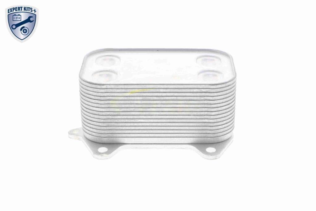 Radiateur d'huile moteur (Refroidisseur d'huile moteur) VEMO V15-60-6061