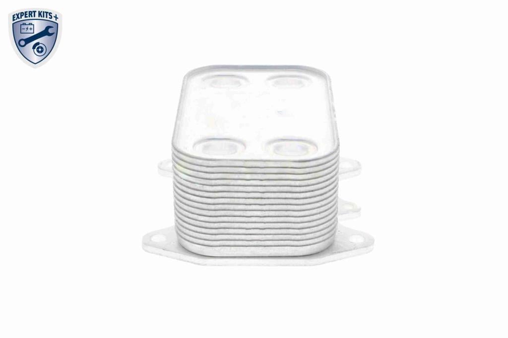 Radiateur d'huile moteur (Refroidisseur d'huile moteur) VEMO V15-60-6061