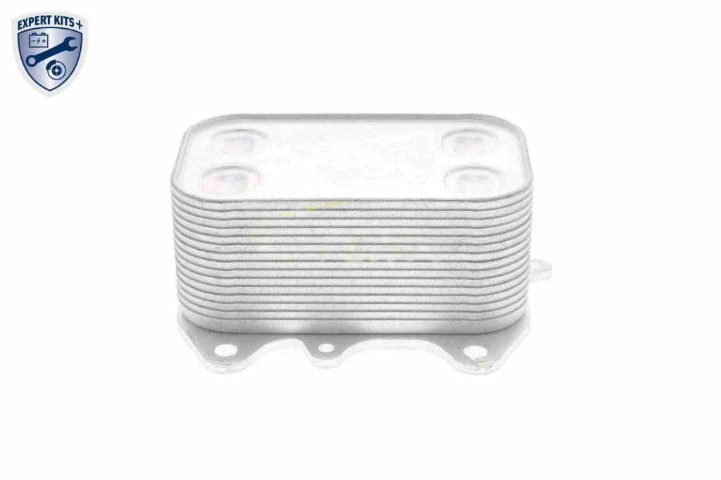 Radiateur d'huile moteur (Refroidisseur d'huile moteur) VEMO V15-60-6061