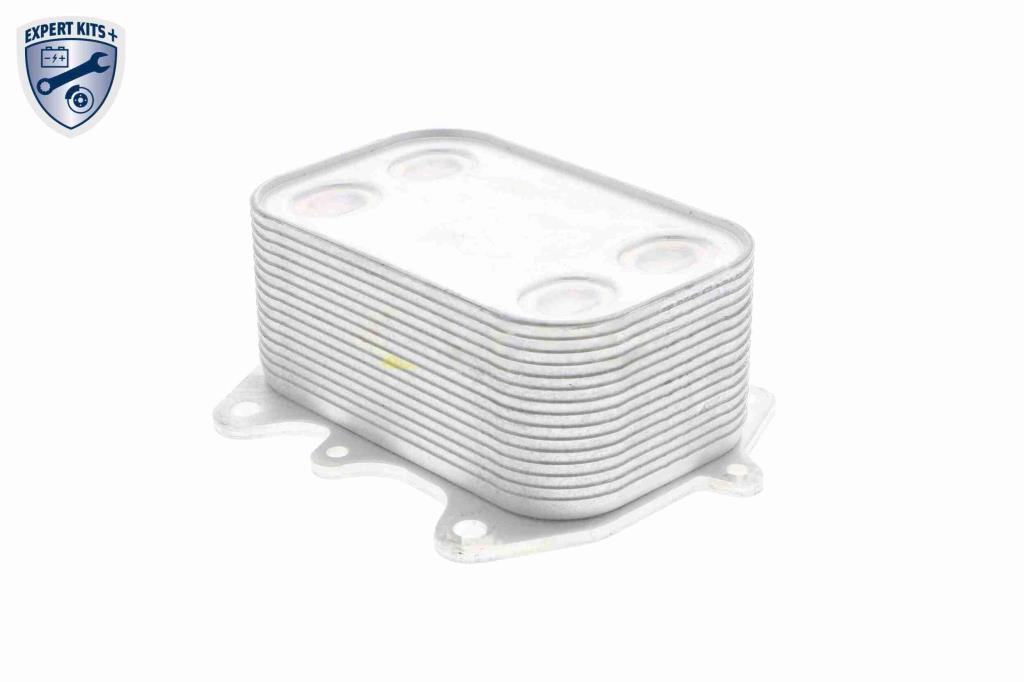 Radiateur d'huile moteur (Refroidisseur d'huile moteur) VEMO V15-60-6061