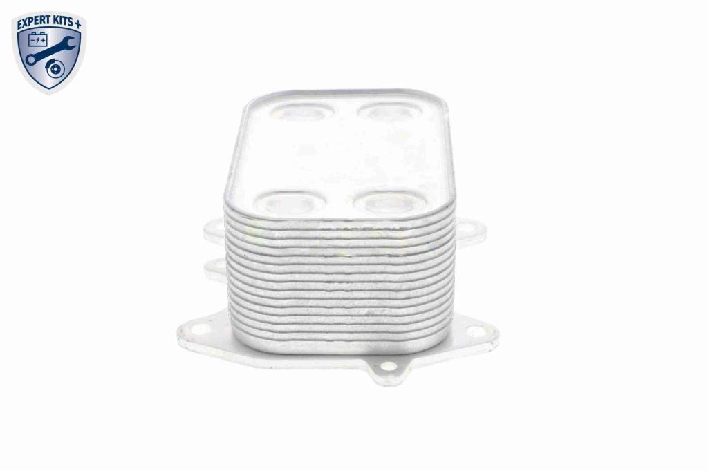 Radiateur d'huile moteur (Refroidisseur d'huile moteur) VEMO V15-60-6061