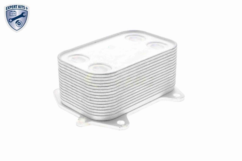 Radiateur d'huile moteur (Refroidisseur d'huile moteur) VEMO V15-60-6061