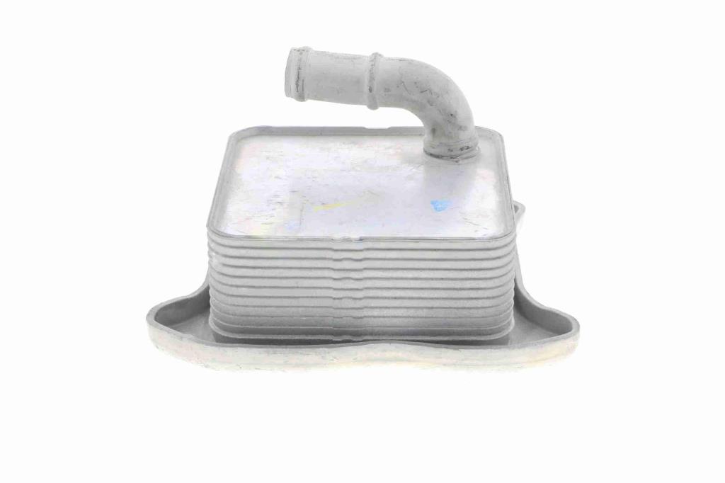 Radiateur d'huile moteur (Refroidisseur d'huile moteur) VEMO V15-60-6062
