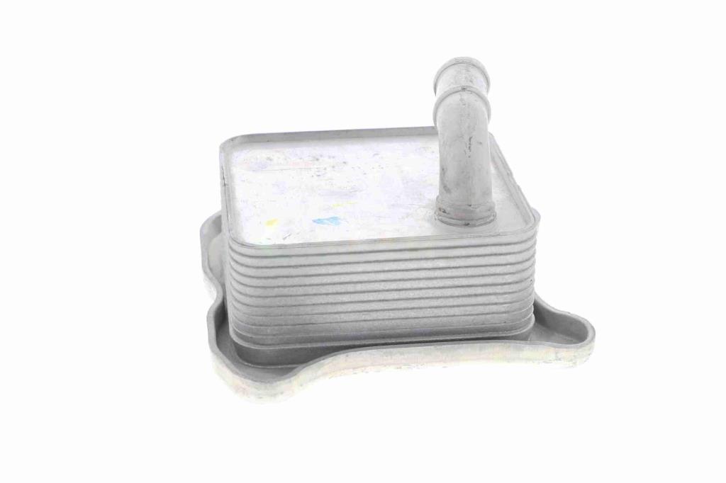 Radiateur d'huile moteur (Refroidisseur d'huile moteur) VEMO V15-60-6062