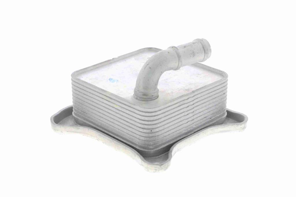 Radiateur d'huile moteur (Refroidisseur d'huile moteur) VEMO V15-60-6062
