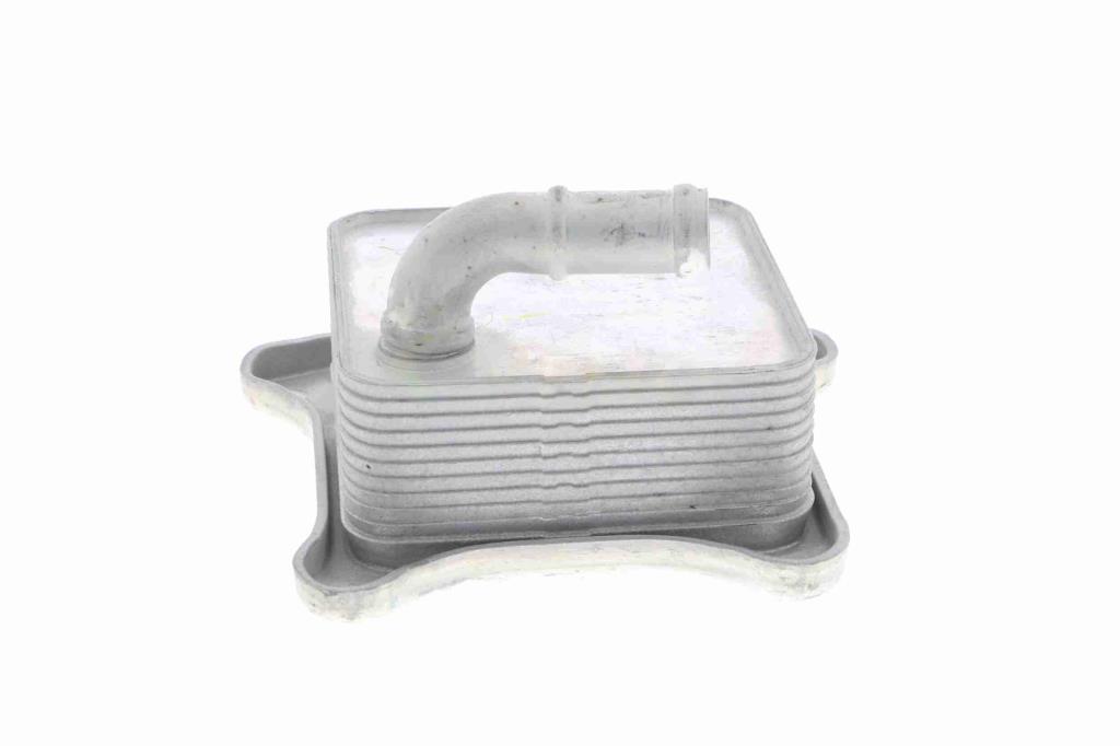 Radiateur d'huile moteur (Refroidisseur d'huile moteur) VEMO V15-60-6062