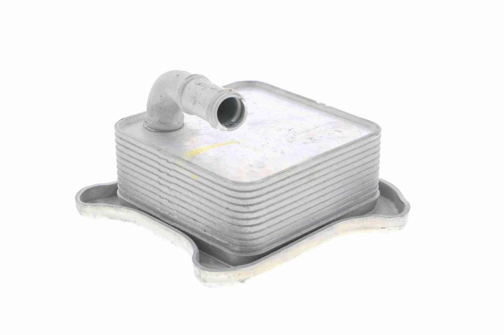 Radiateur d'huile moteur (Refroidisseur d'huile moteur) VEMO V15-60-6062