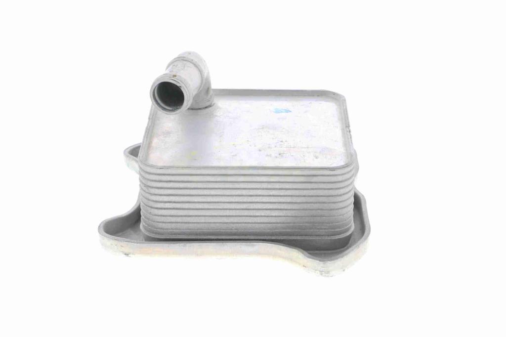 Radiateur d'huile moteur (Refroidisseur d'huile moteur) VEMO V15-60-6062