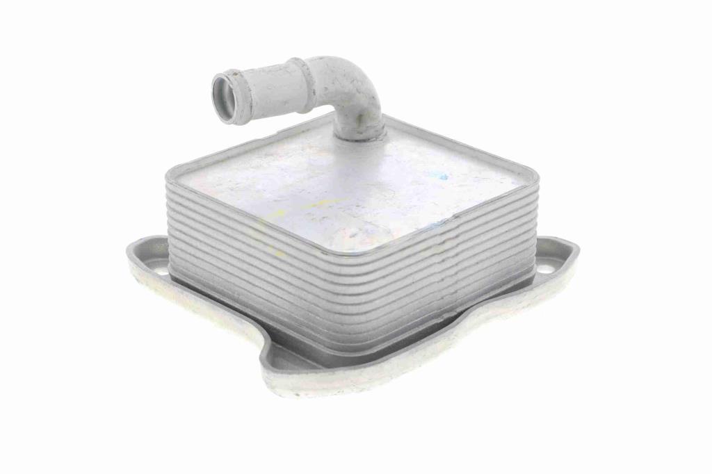 Radiateur d'huile moteur (Refroidisseur d'huile moteur) VEMO V15-60-6062