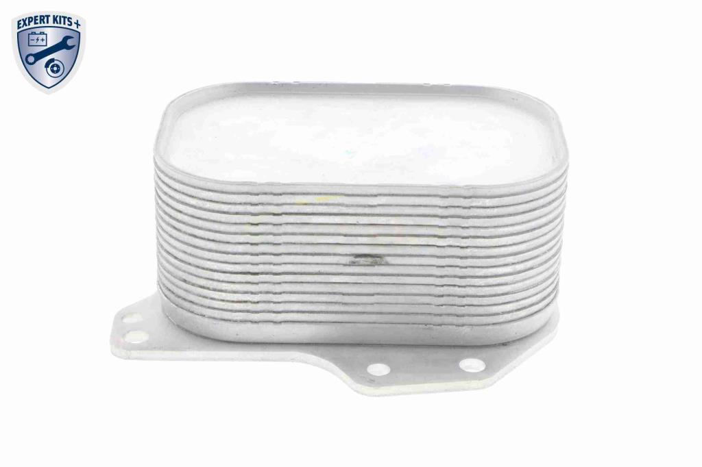 Radiateur d'huile moteur (Refroidisseur d'huile moteur) VEMO V15-60-6063