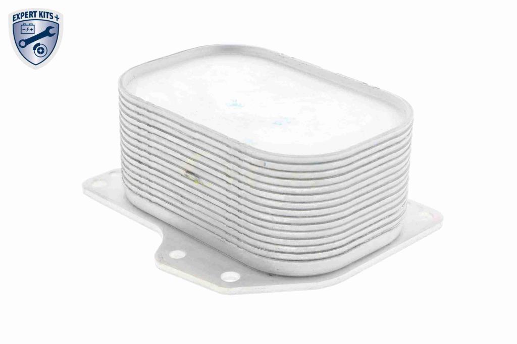 Radiateur d'huile moteur (Refroidisseur d'huile moteur) VEMO V15-60-6063