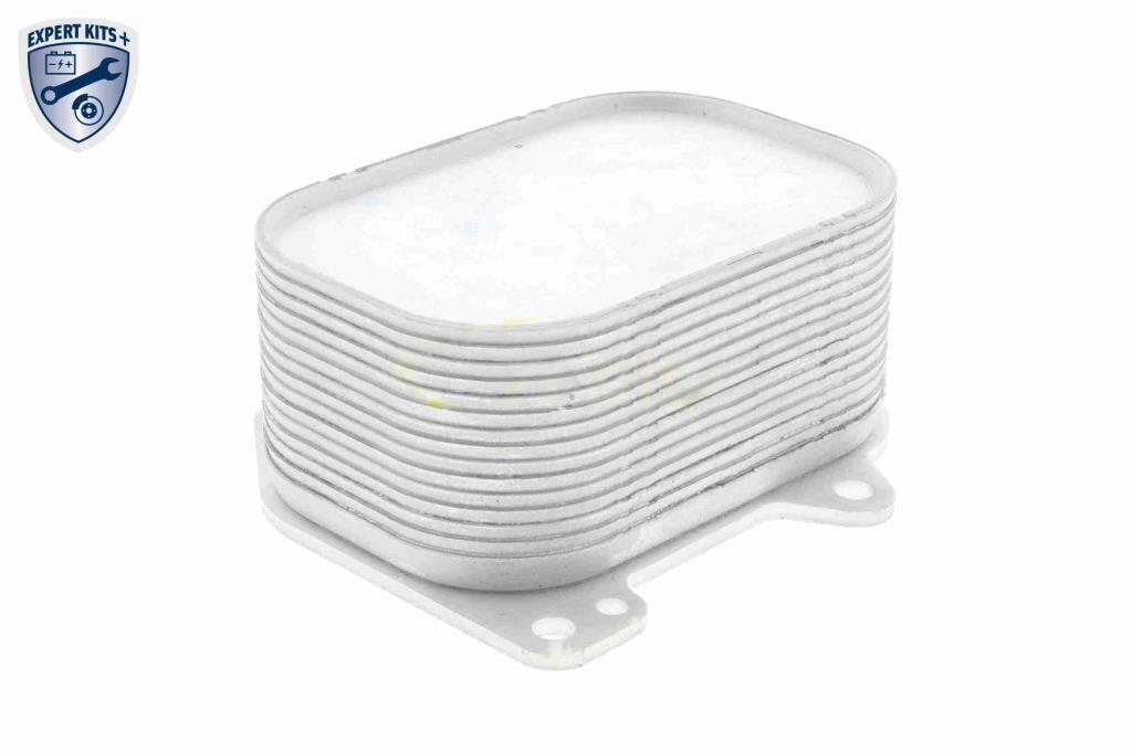Radiateur d'huile moteur (Refroidisseur d'huile moteur) VEMO V15-60-6063