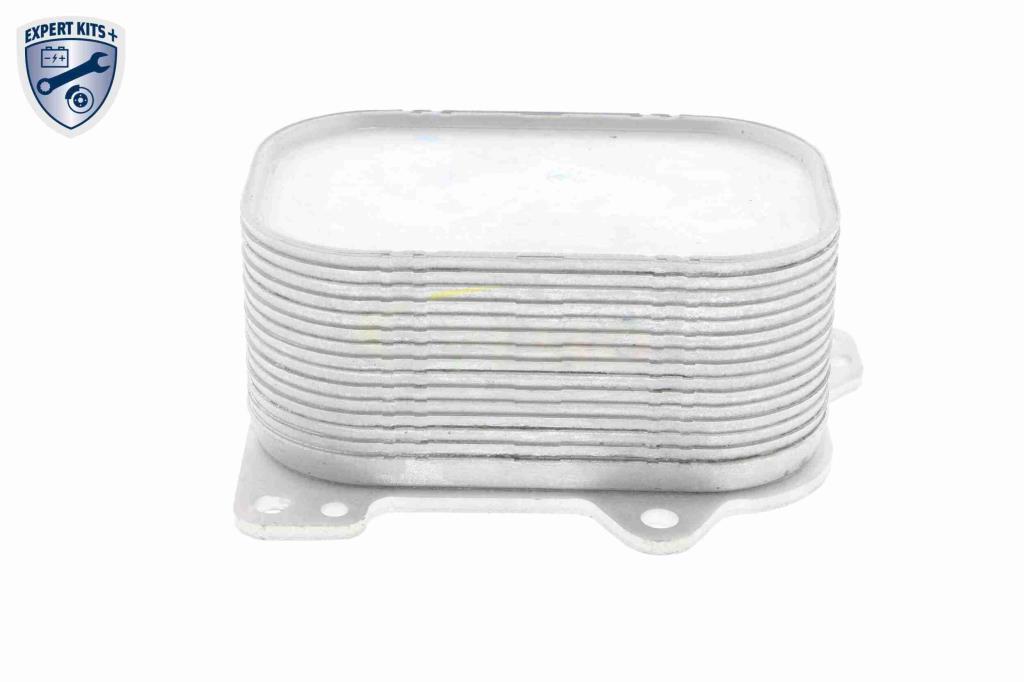 Radiateur d'huile moteur (Refroidisseur d'huile moteur) VEMO V15-60-6063