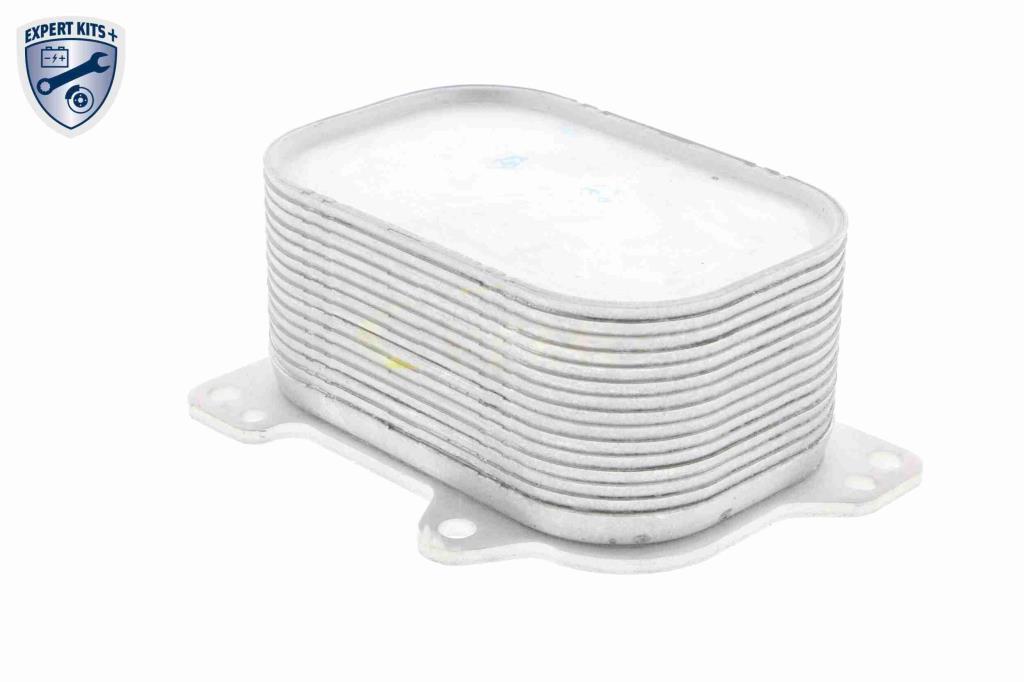 Radiateur d'huile moteur (Refroidisseur d'huile moteur) VEMO V15-60-6063
