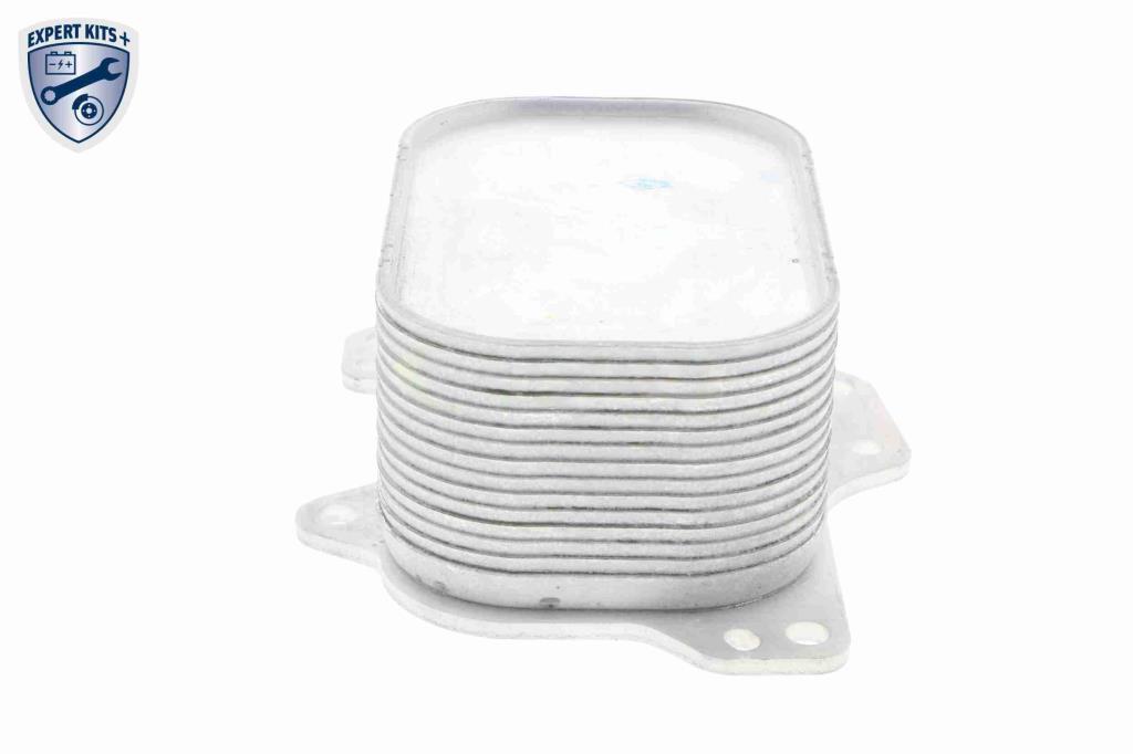 Radiateur d'huile moteur (Refroidisseur d'huile moteur) VEMO V15-60-6063