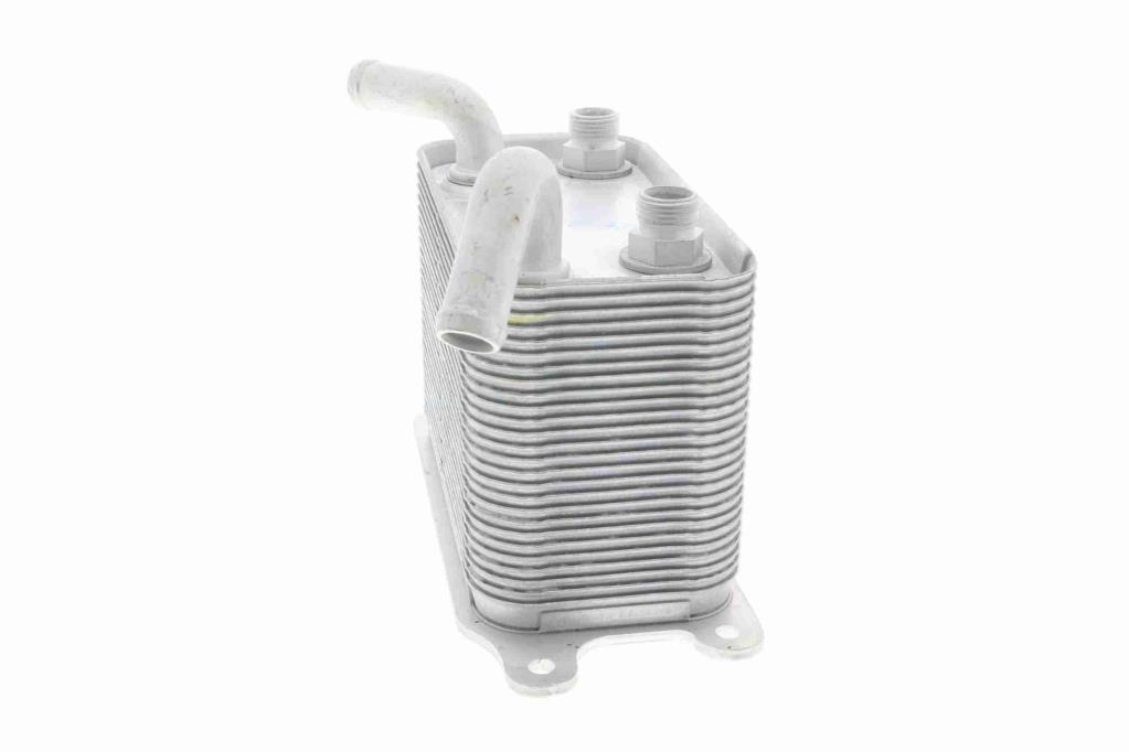 Radiateur d'huile moteur (Refroidisseur d'huile moteur) VEMO V15-60-6067