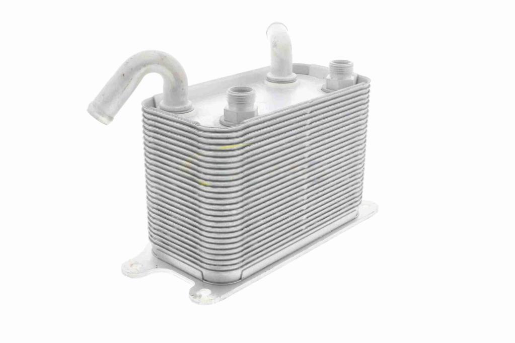 Radiateur d'huile moteur (Refroidisseur d'huile moteur) VEMO V15-60-6067