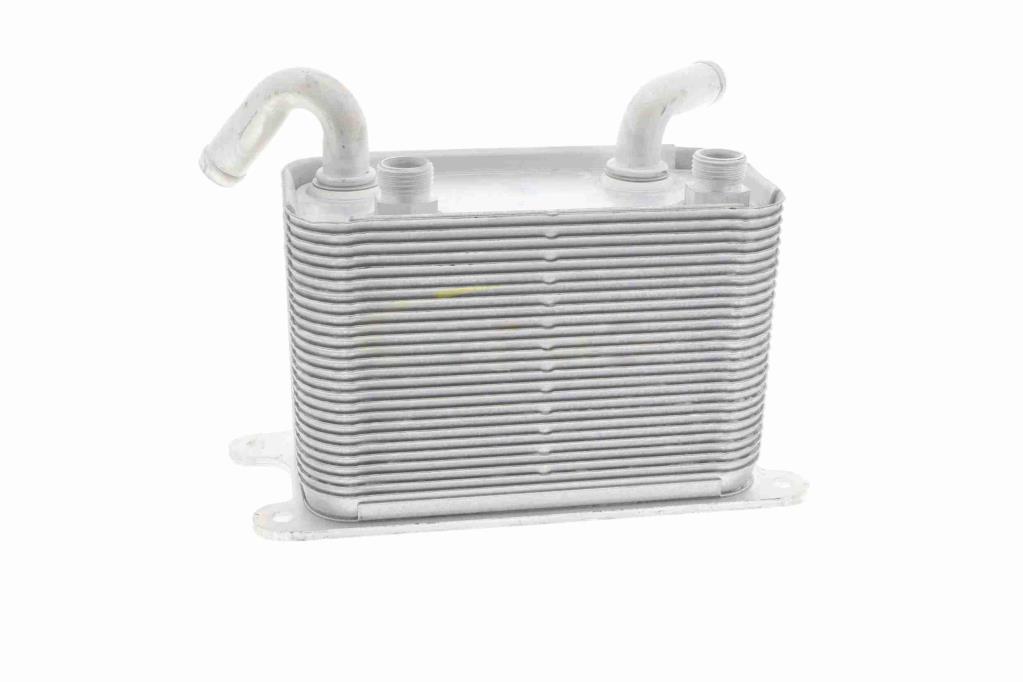 Radiateur d'huile moteur (Refroidisseur d'huile moteur) VEMO V15-60-6067