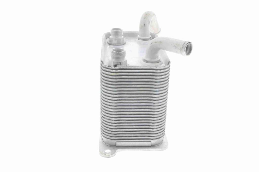 Radiateur d'huile moteur (Refroidisseur d'huile moteur) VEMO V15-60-6067