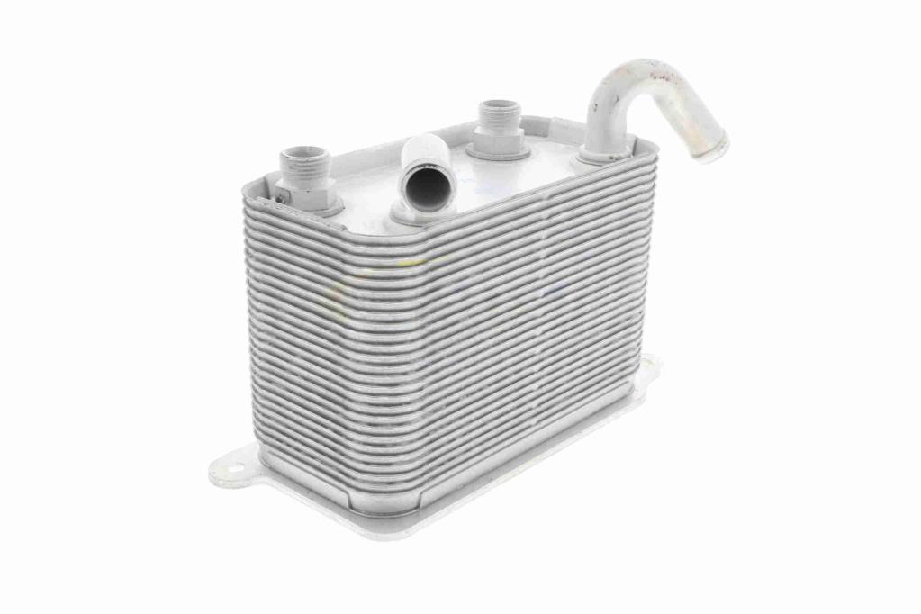 Radiateur d'huile moteur (Refroidisseur d'huile moteur) VEMO V15-60-6067