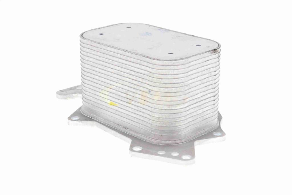 Radiateur d'huile moteur (Refroidisseur d'huile moteur) VEMO V15-60-6069