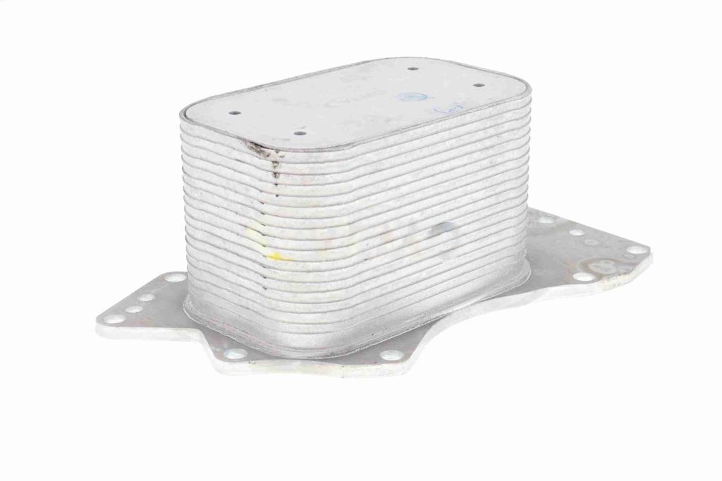 Radiateur d'huile moteur (Refroidisseur d'huile moteur) VEMO V15-60-6069