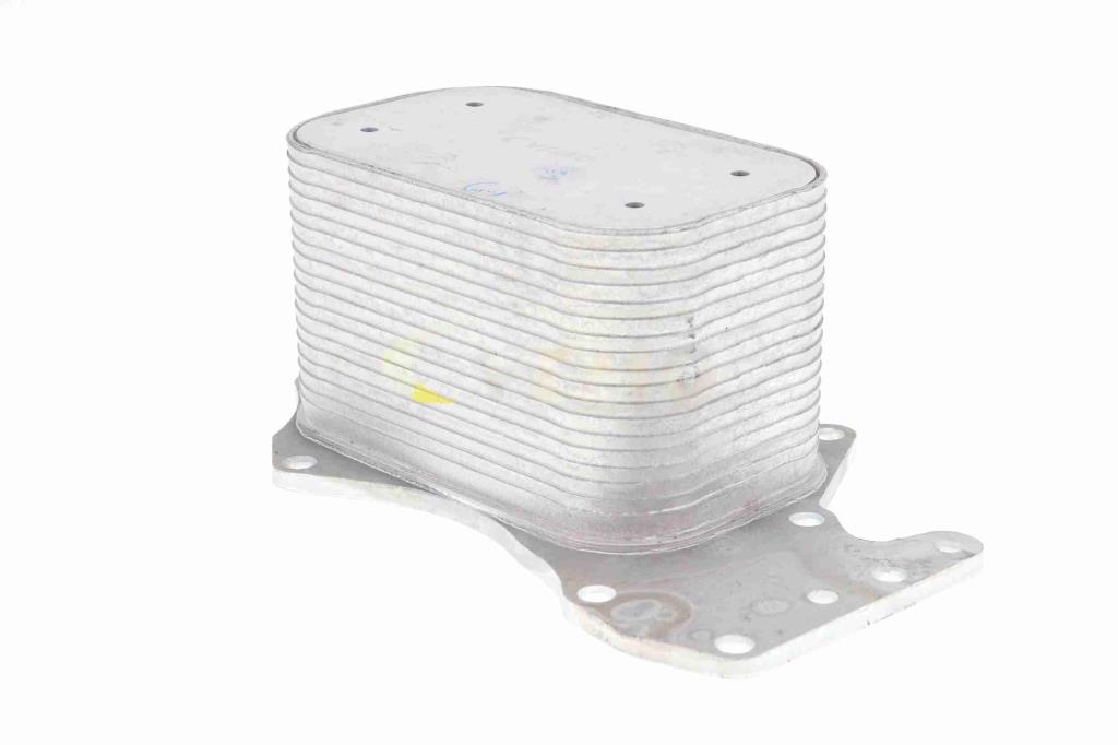 Radiateur d'huile moteur (Refroidisseur d'huile moteur) VEMO V15-60-6069
