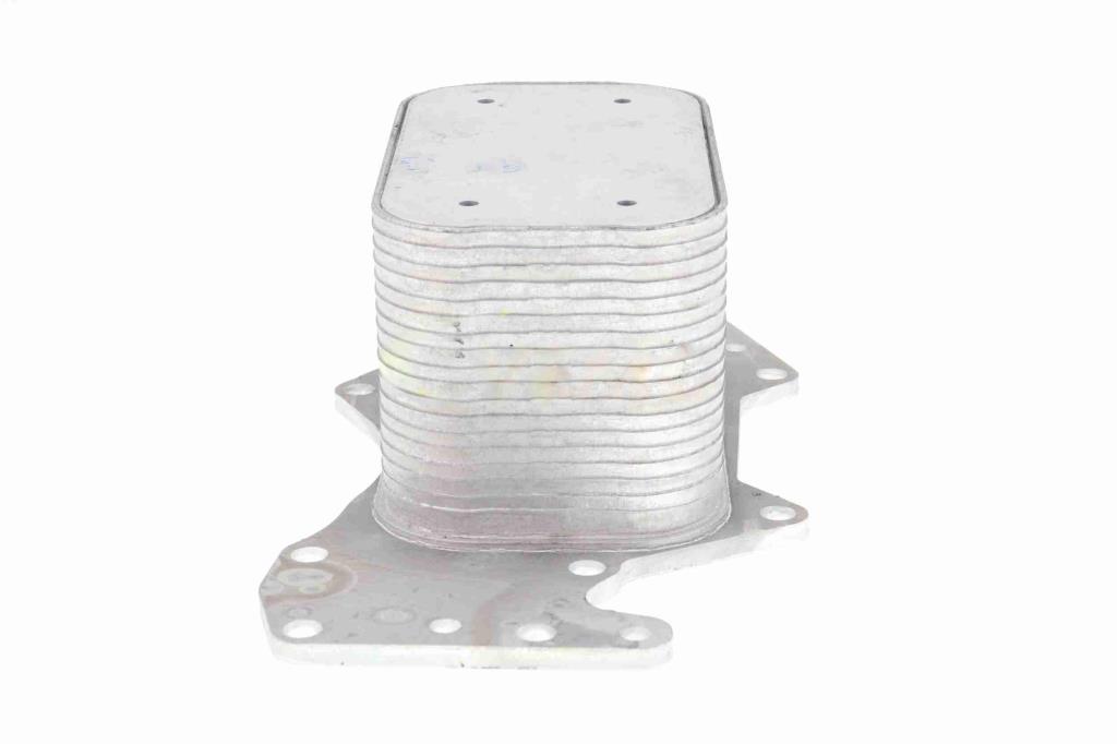Radiateur d'huile moteur (Refroidisseur d'huile moteur) VEMO V15-60-6069