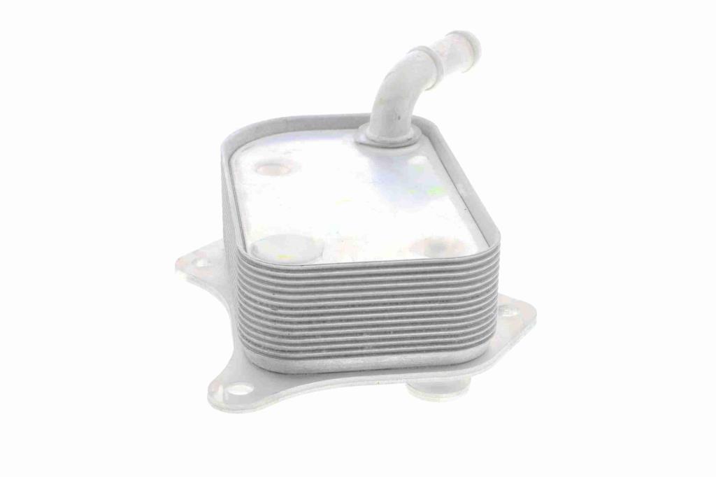 Radiateur d'huile moteur (Refroidisseur d'huile moteur) VEMO V15-60-6071