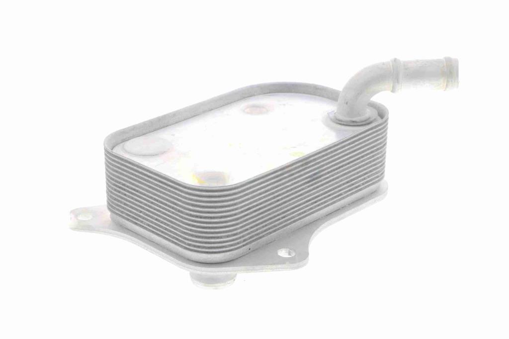 Radiateur d'huile moteur (Refroidisseur d'huile moteur) VEMO V15-60-6071