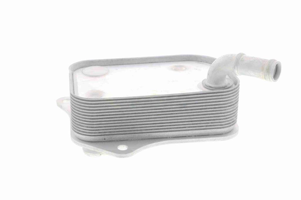Radiateur d'huile moteur (Refroidisseur d'huile moteur) VEMO V15-60-6071