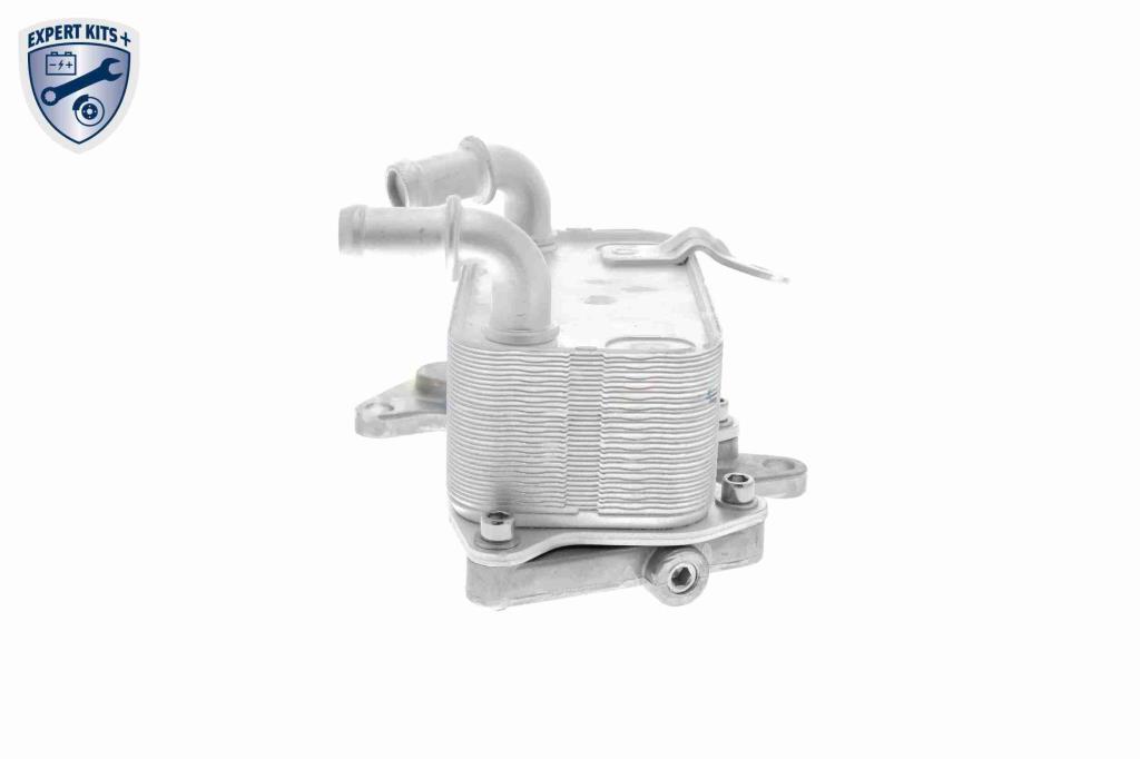 Radiateur d'huile moteur (Refroidisseur d'huile moteur) VEMO V15-60-6073