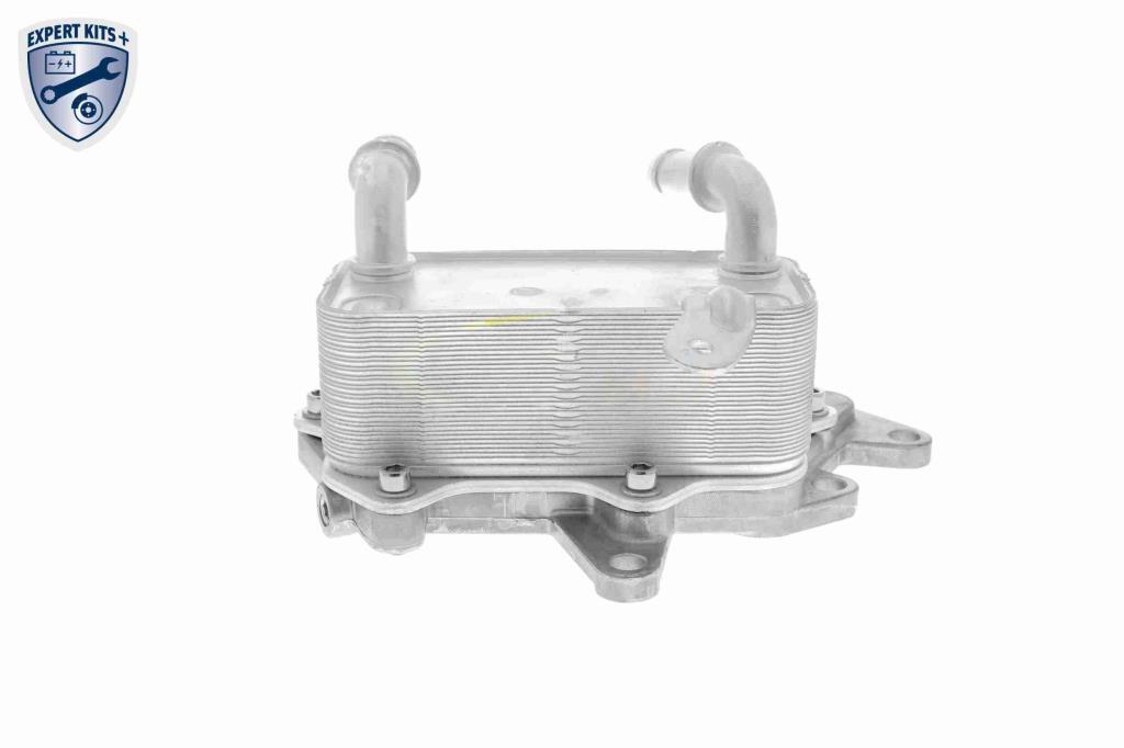 Radiateur d'huile moteur (Refroidisseur d'huile moteur) VEMO V15-60-6073