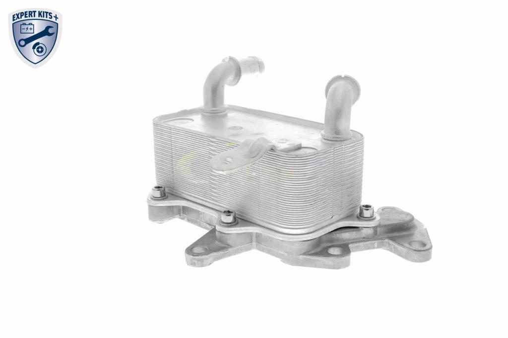 Radiateur d'huile moteur (Refroidisseur d'huile moteur) VEMO V15-60-6073