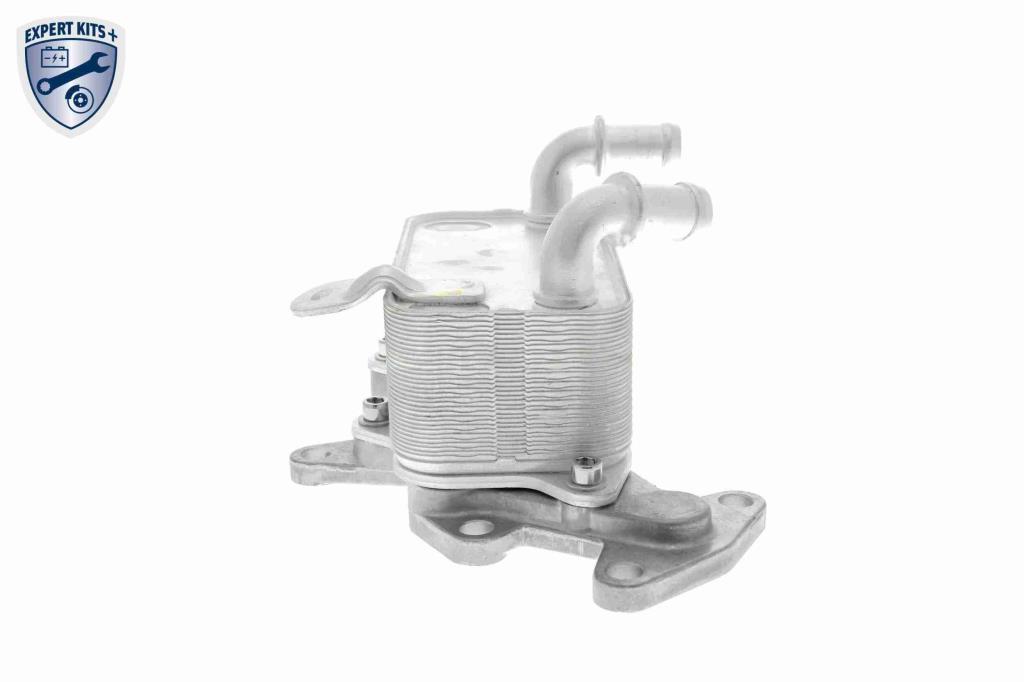 Radiateur d'huile moteur (Refroidisseur d'huile moteur) VEMO V15-60-6073