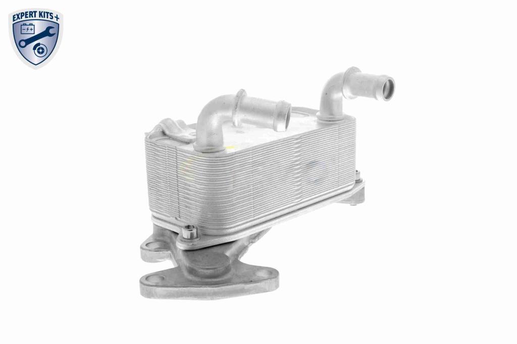 Radiateur d'huile moteur (Refroidisseur d'huile moteur) VEMO V15-60-6073