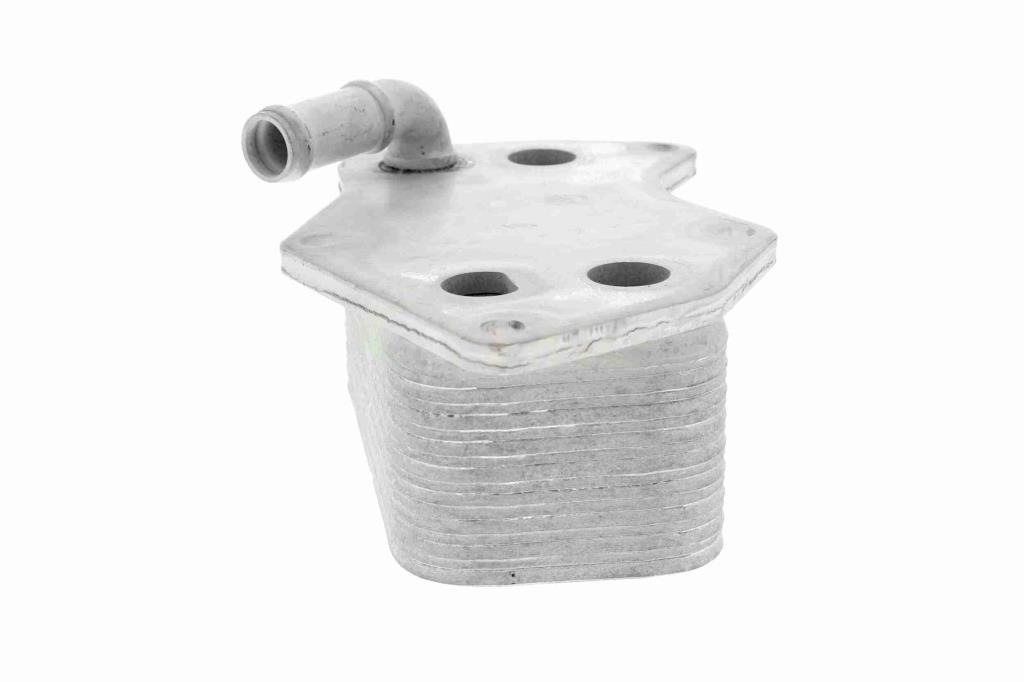 Radiateur d'huile moteur (Refroidisseur d'huile moteur) VEMO V15-60-6074
