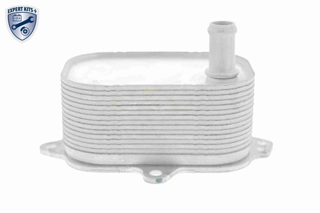 Radiateur d'huile moteur (Refroidisseur d'huile moteur) VEMO V15-60-6088