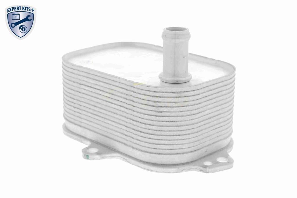 Radiateur d'huile moteur (Refroidisseur d'huile moteur) VEMO V15-60-6088