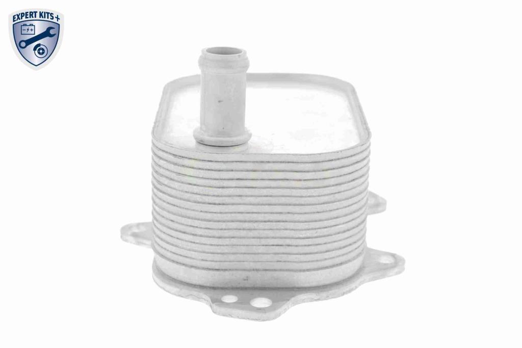 Radiateur d'huile moteur (Refroidisseur d'huile moteur) VEMO V15-60-6088