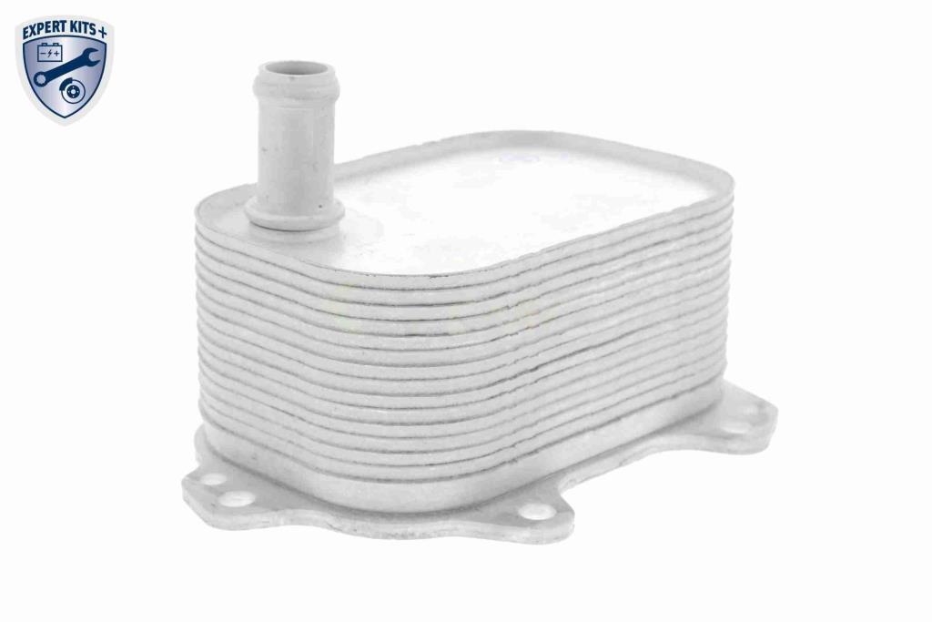 Radiateur d'huile moteur (Refroidisseur d'huile moteur) VEMO V15-60-6088
