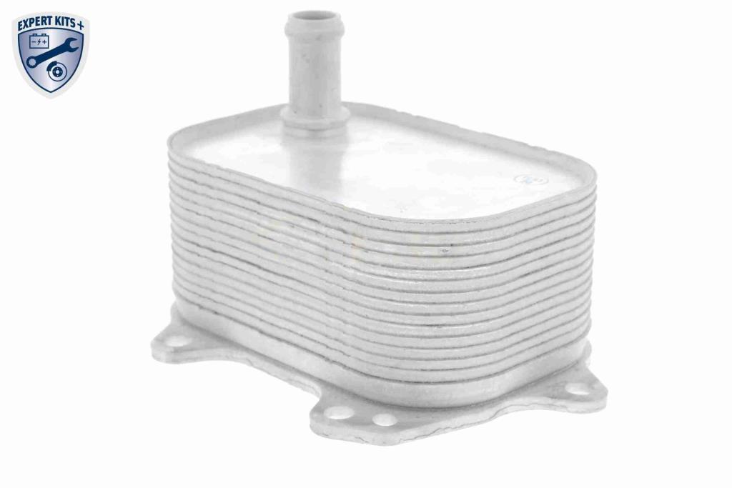 Radiateur d'huile moteur (Refroidisseur d'huile moteur) VEMO V15-60-6088