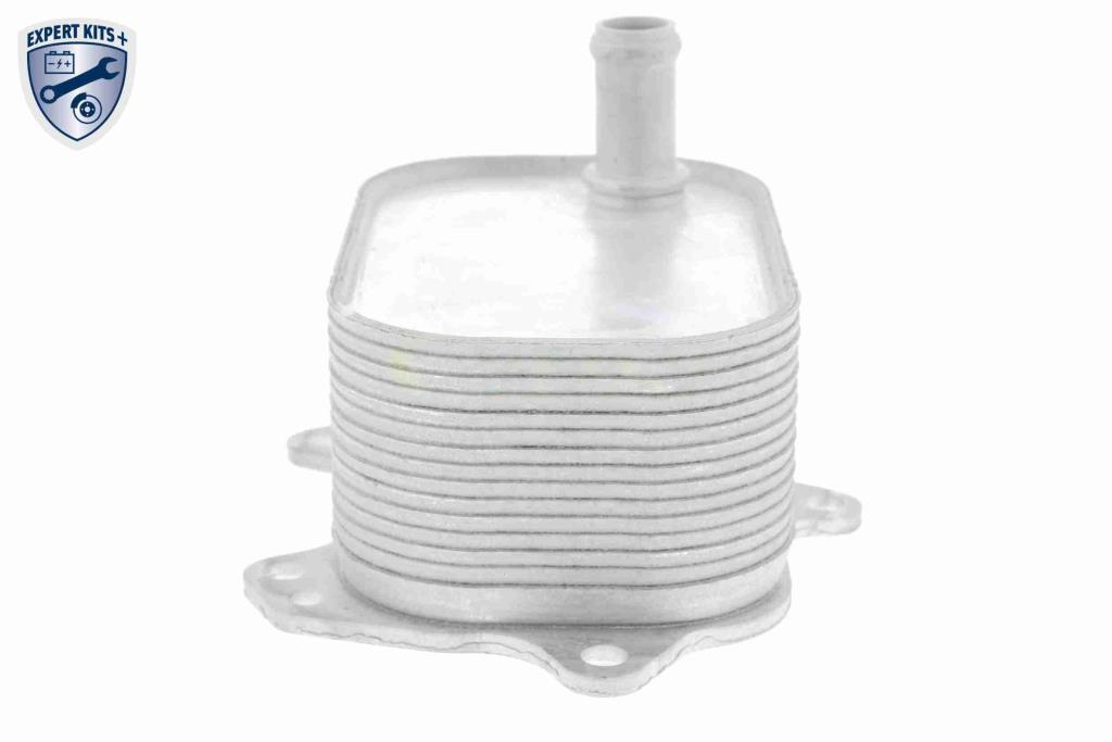 Radiateur d'huile moteur (Refroidisseur d'huile moteur) VEMO V15-60-6088