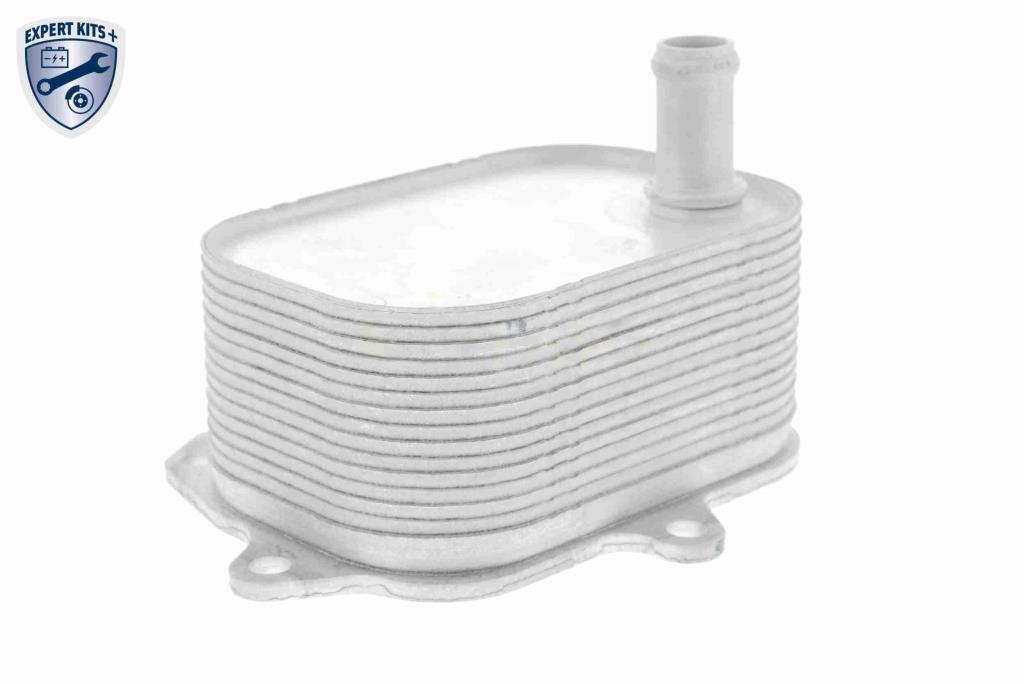 Radiateur d'huile moteur (Refroidisseur d'huile moteur) VEMO V15-60-6088