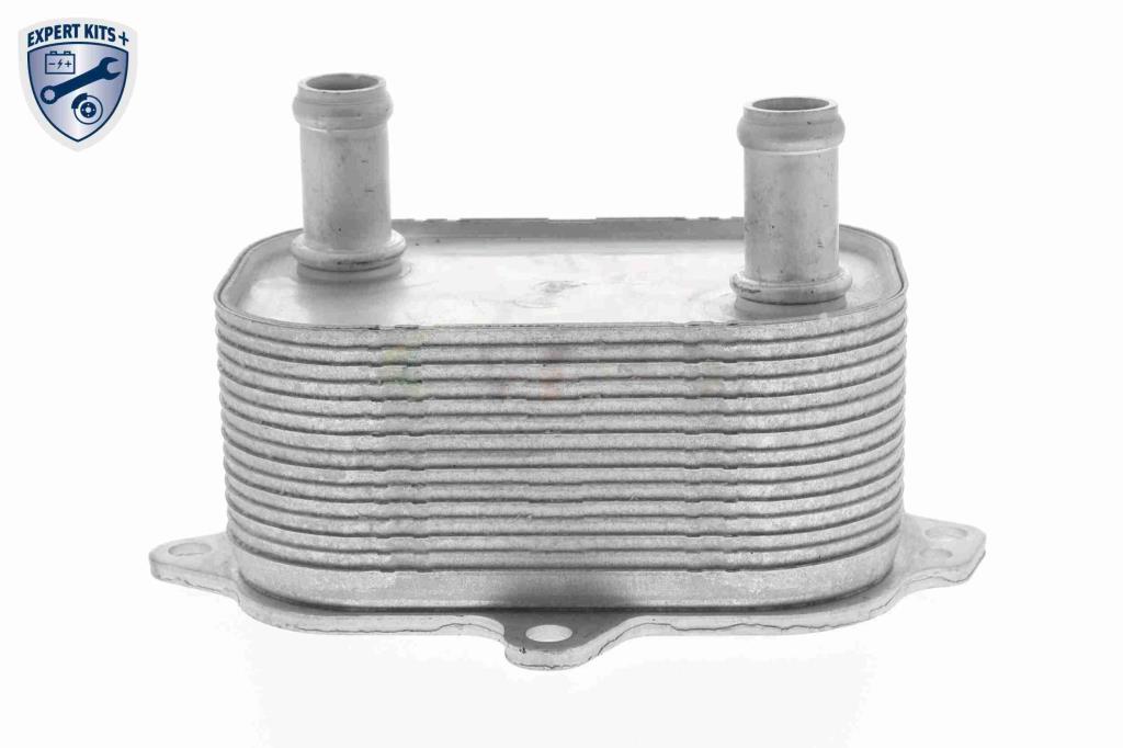 Radiateur d'huile moteur (Refroidisseur d'huile moteur) VEMO V15-60-6091