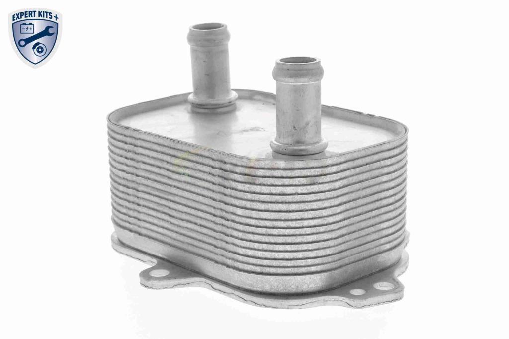 Radiateur d'huile moteur (Refroidisseur d'huile moteur) VEMO V15-60-6091