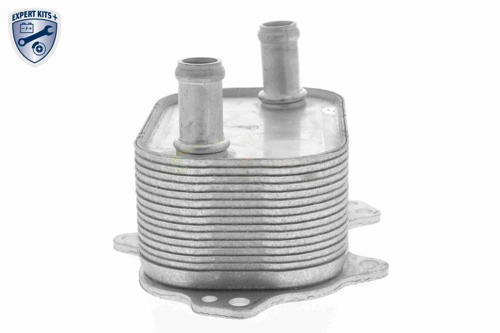 Radiateur d'huile moteur (Refroidisseur d'huile moteur) VEMO V15-60-6091